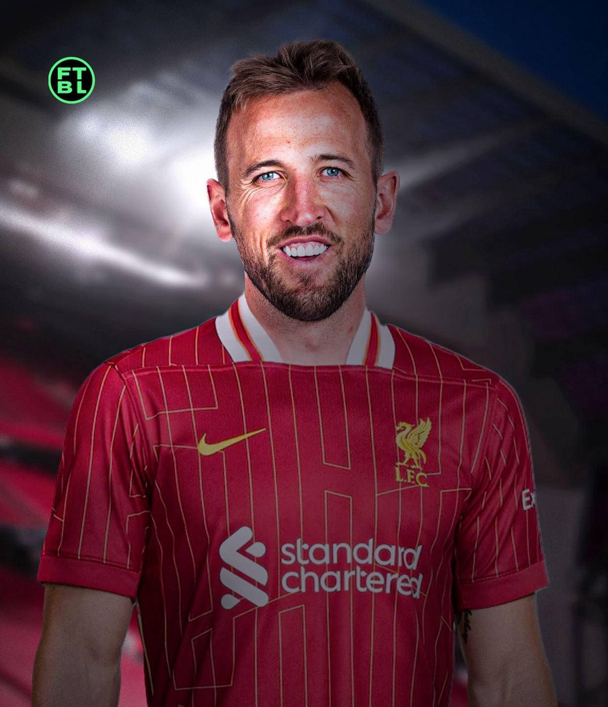 了极高的专 了极高的专