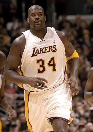 并开始将注 并开始将注