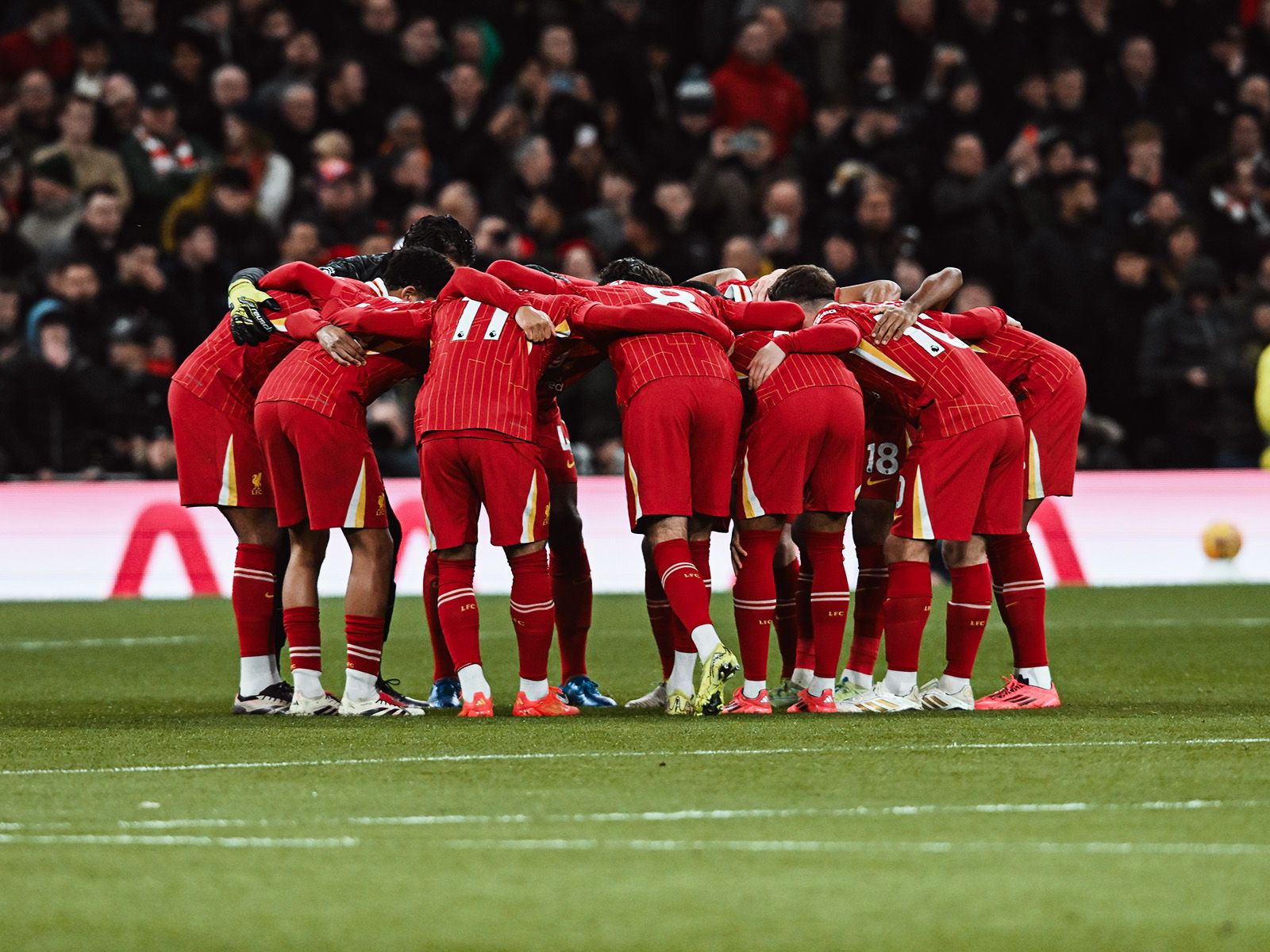 市场上也存 市场上也存